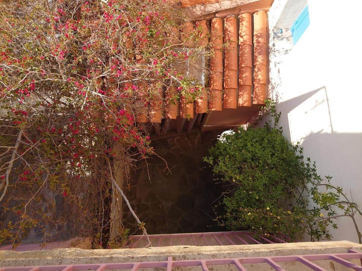 6Mir17 - Chaleureuse Maison De Pecheurs Idealement Situee Collioure Kültér fotó